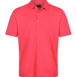 Outlet Men's Neck Logo Stretch Golf Polo Shirt Men's Polo Shirts|Season Ready Collection