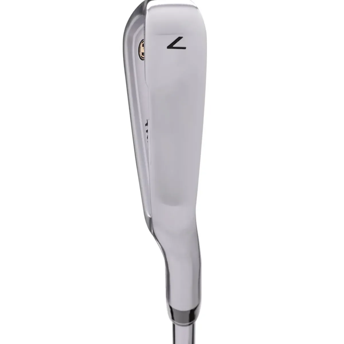 Clearance TR20V Steel Golf Irons Irons